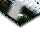 Silent Glide Acrylic print