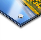 A Sea of Golden Dreams Acrylic print