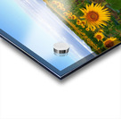 The Heart of Summer  Acrylic print