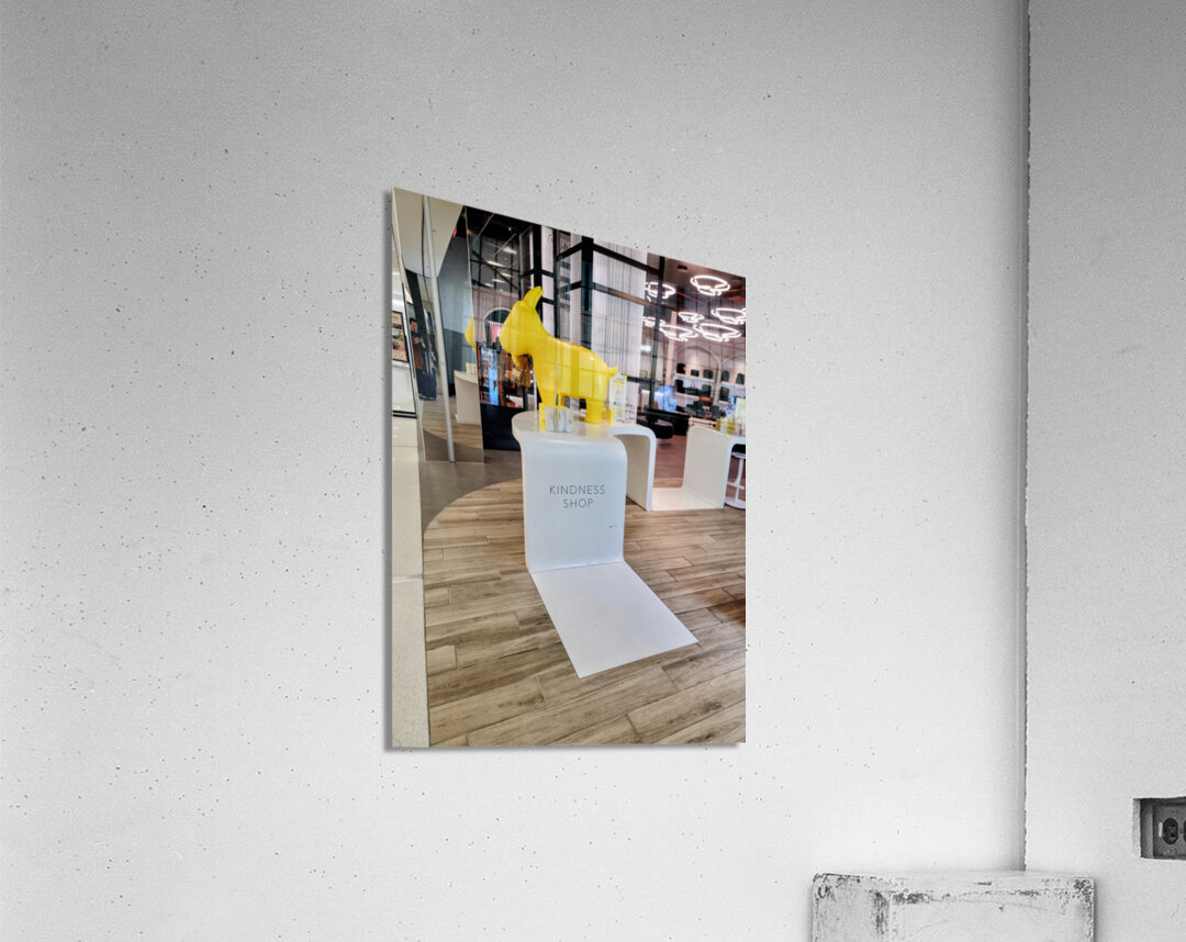 Shop for Kindness Impression acrylique