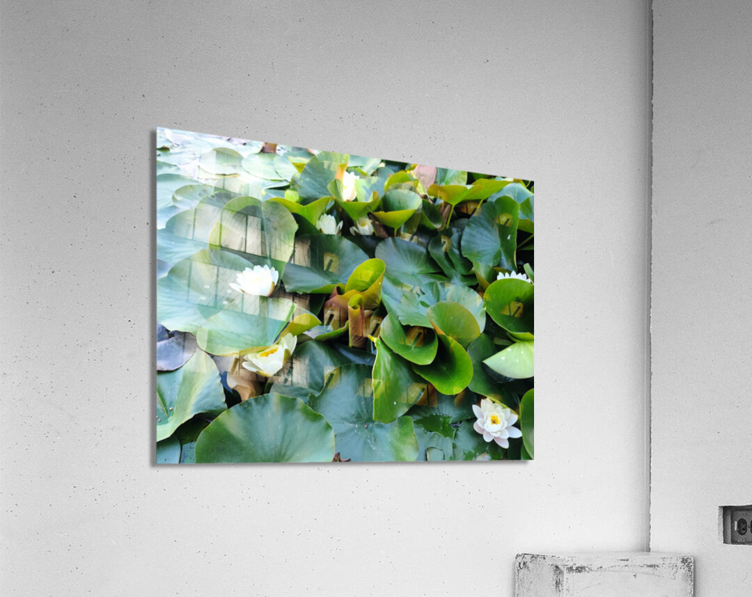 Nature’s Quiet Triumph Impression acrylique