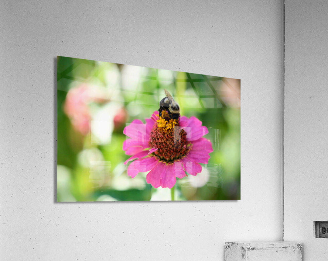 Petals and Purpose: An Ode to Quiet Industry Acrylic Print