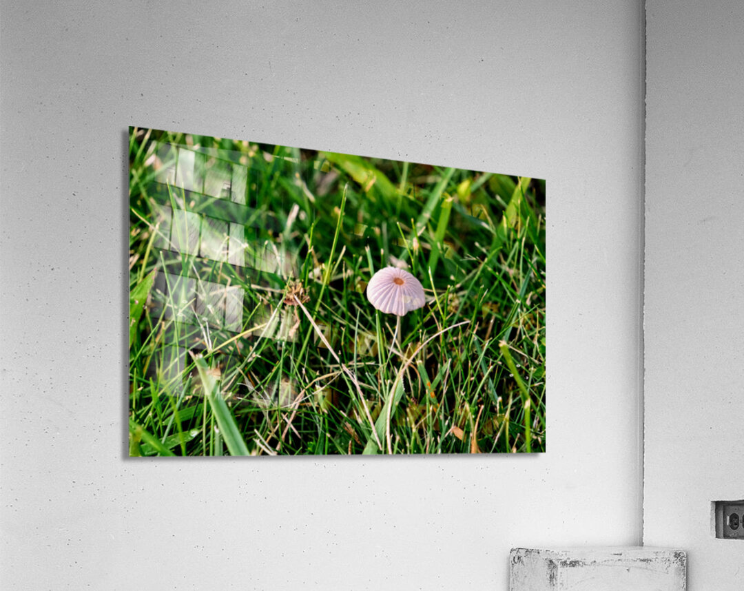 The Littlest Umbrella Acrylic Print