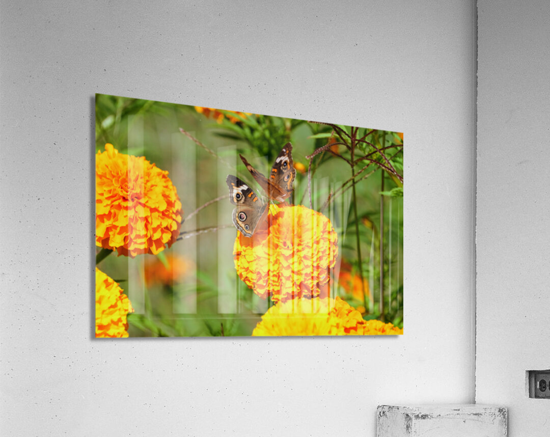 In Bloom and Flight: A Conversation in Color Impression acrylique