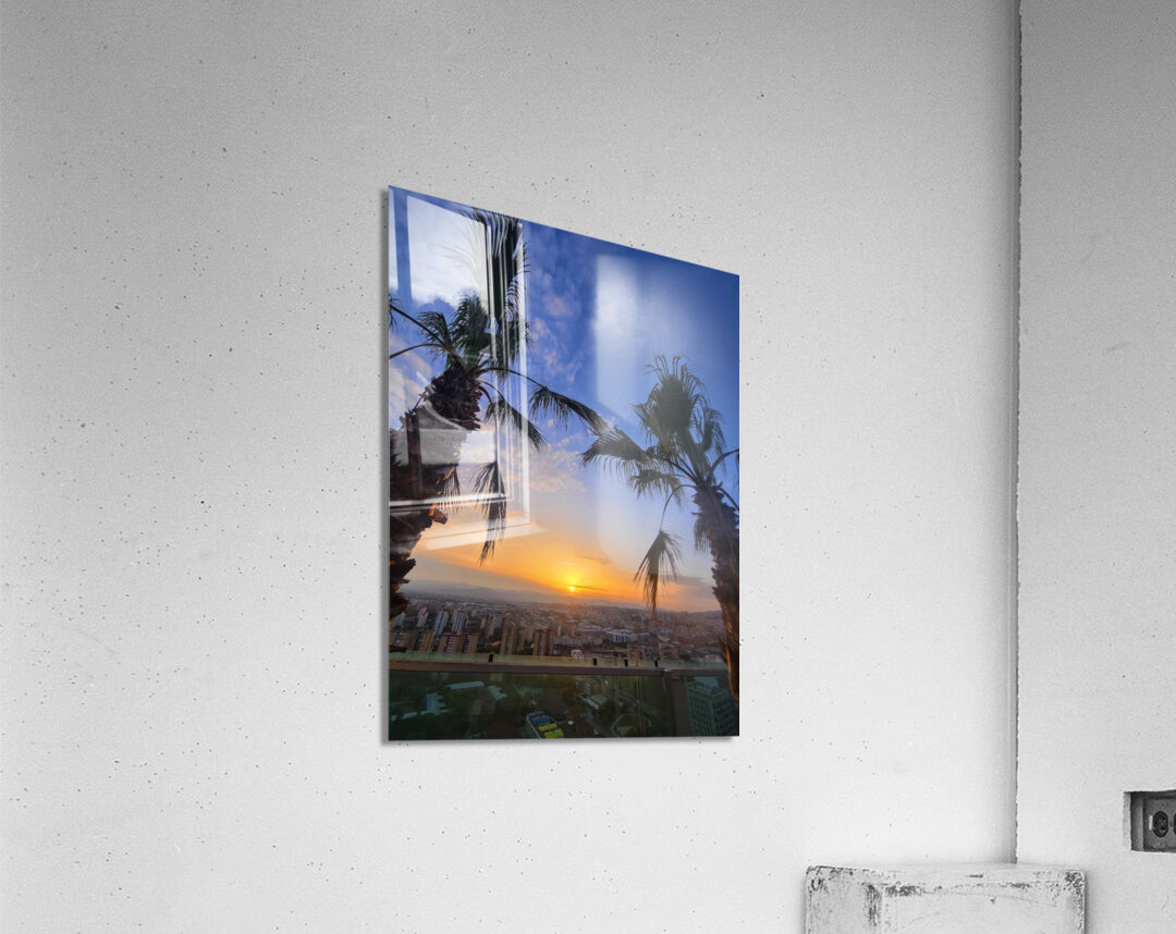 Golden Drift Between Palms Acrylic Print