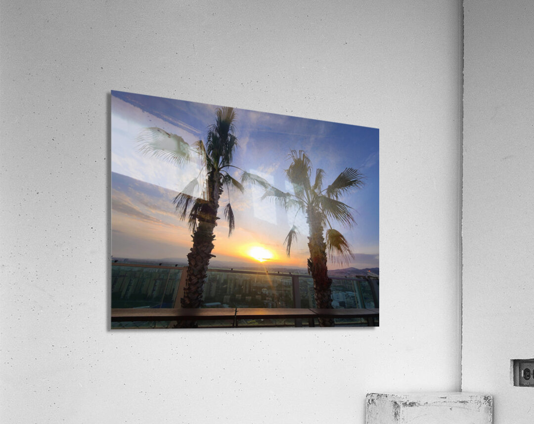Palms Over the Skyline Acrylic Print