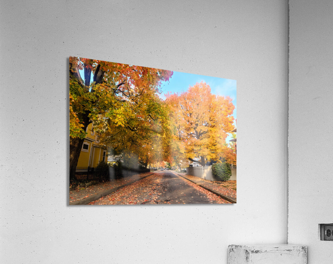 Fall Over the Road: Whispers of Fall Impression acrylique