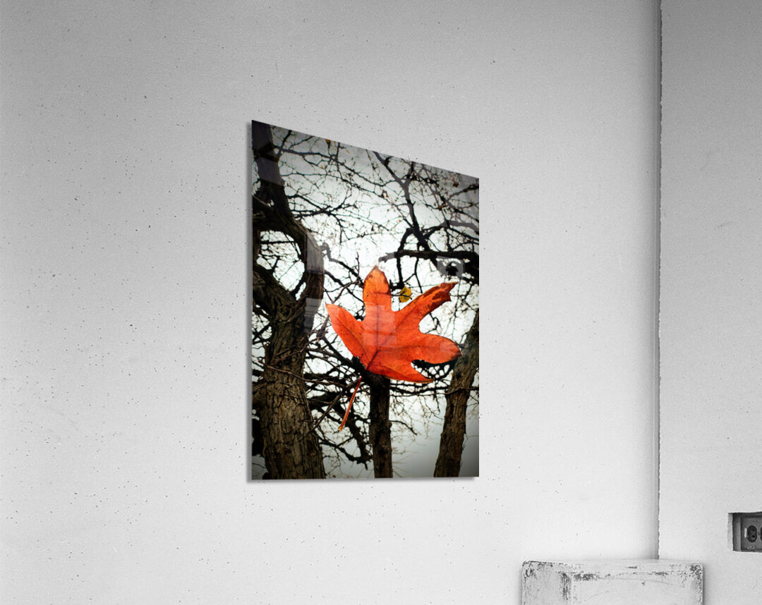 A Fallen Farewell: One Last Note Impression acrylique