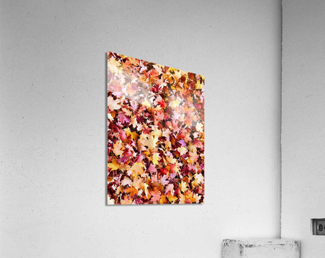 Natural Carpet: Fall’s Confetti Acrylic Print