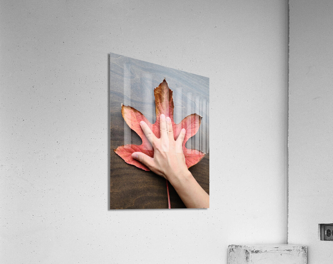 Holding Onto Fall: Nature’s High Five Impression acrylique