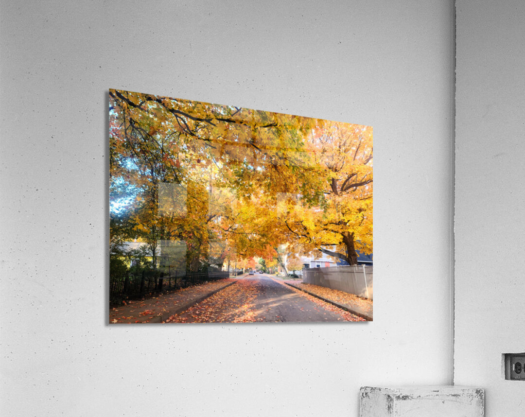 Fall Over the Road Acrylic Print