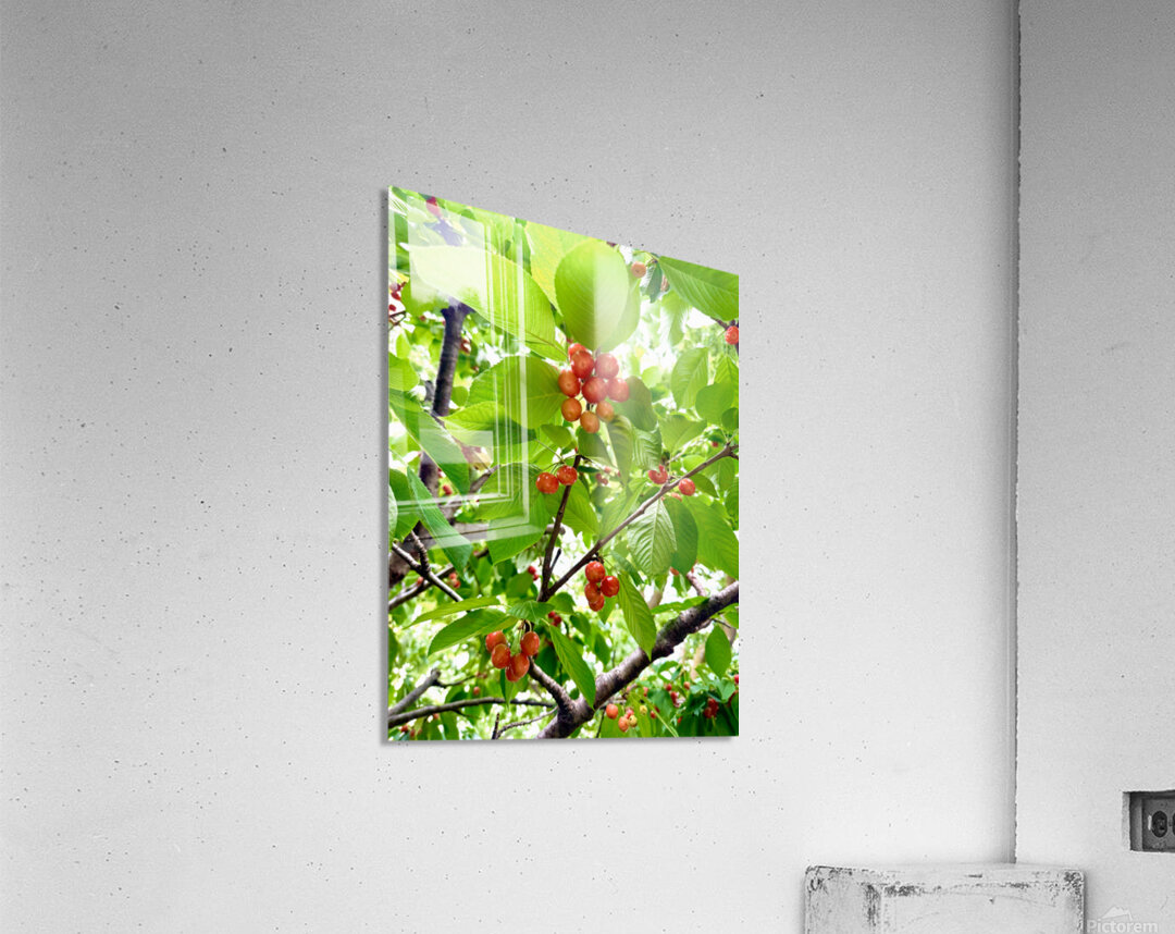 The Humble Crown of the Orchard Queen Impression acrylique