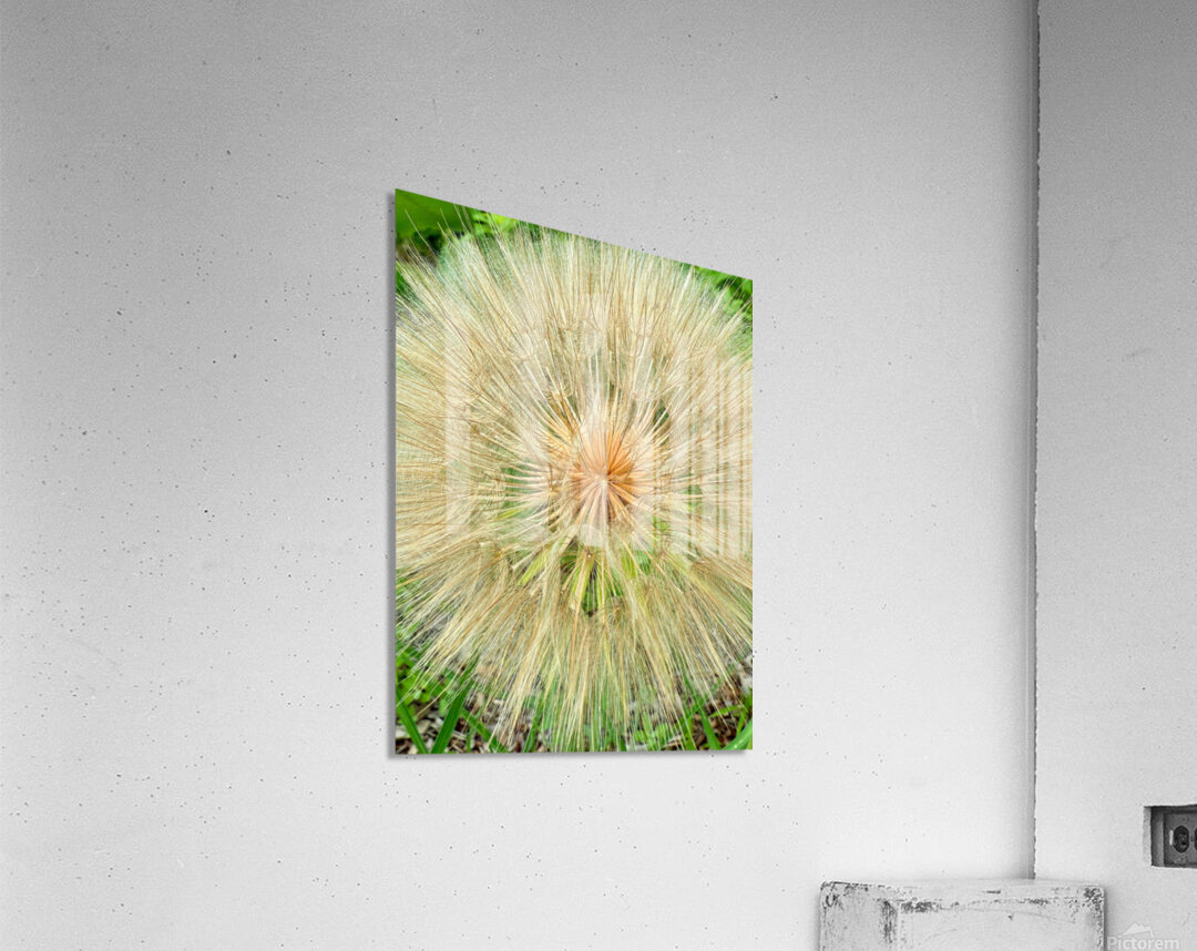 Nature’s Compass: All Directions One Origin Acrylic Print