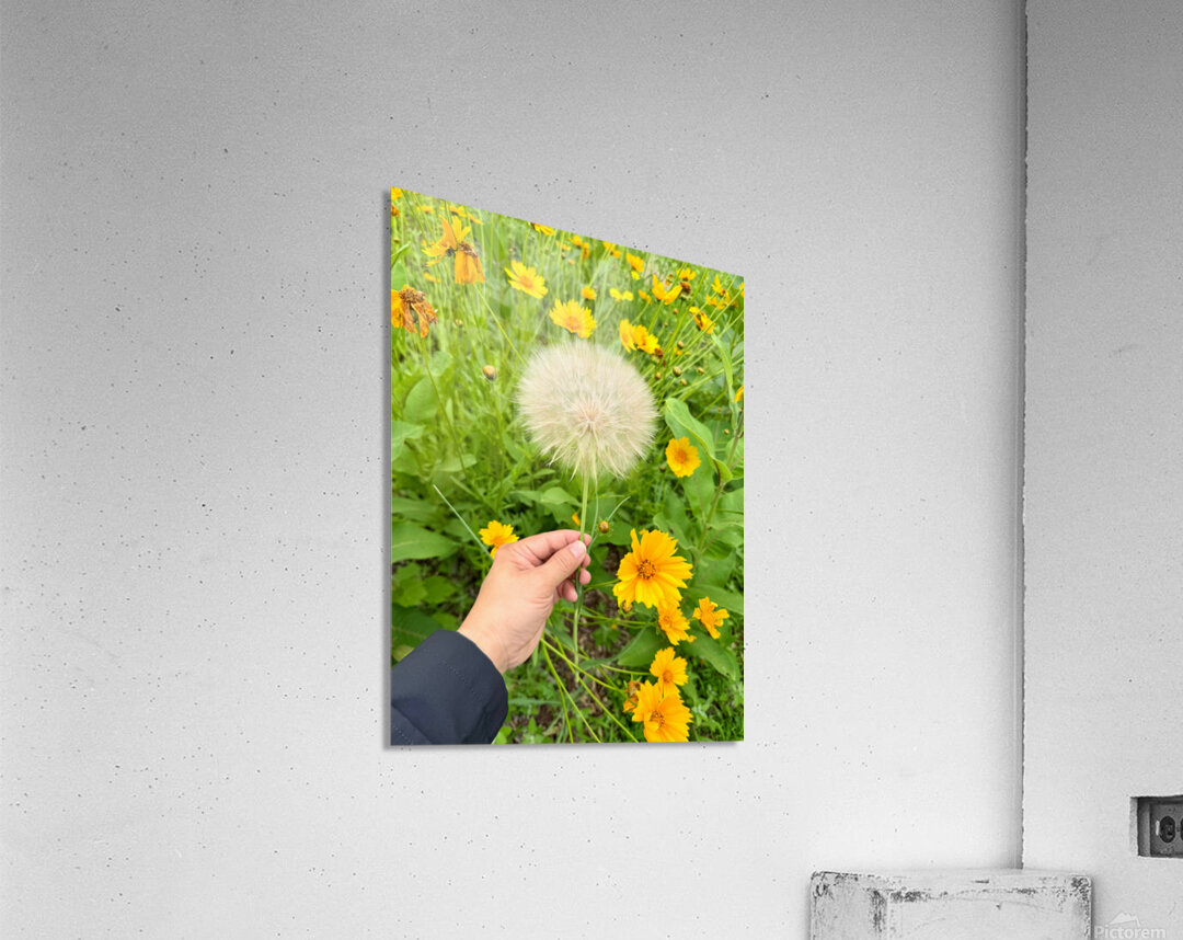 The Wild Stillness Between Wishes Impression acrylique