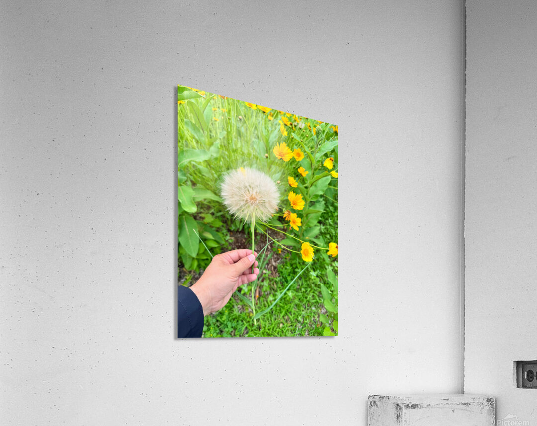 Cartography of a Wish Acrylic Print