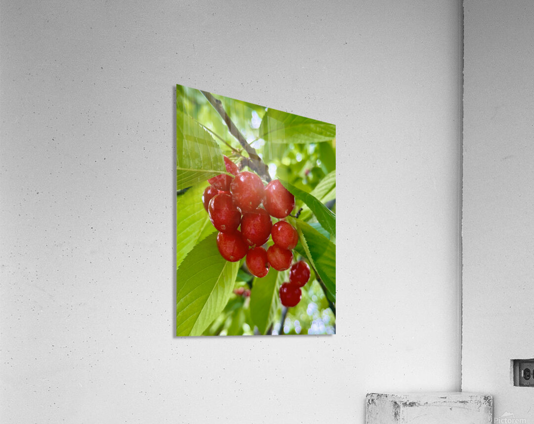 The Orchard’s Pulse: Where Color and Ripeness Conspire Impression acrylique