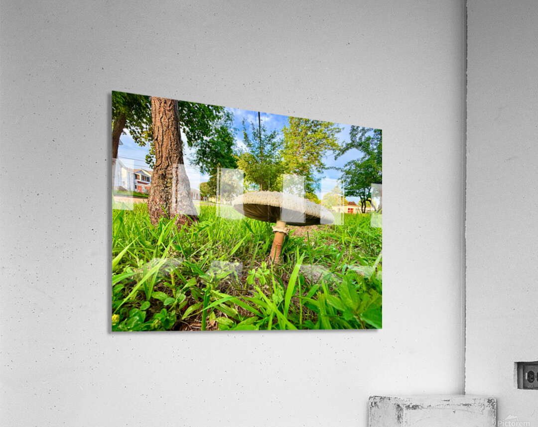 The Lone Umbrella of Morning Light Acrylic Print