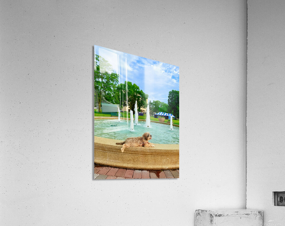 Lazy Days by the Fountain Impression acrylique