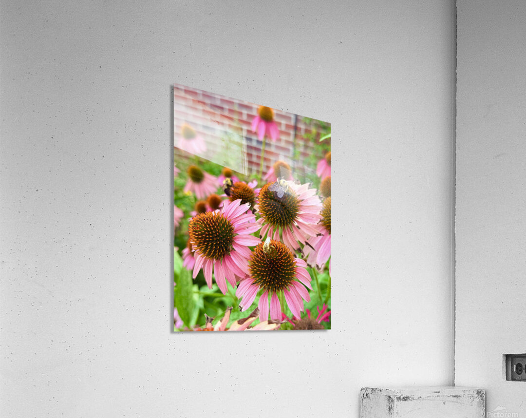 Garden Buzz Acrylic Print