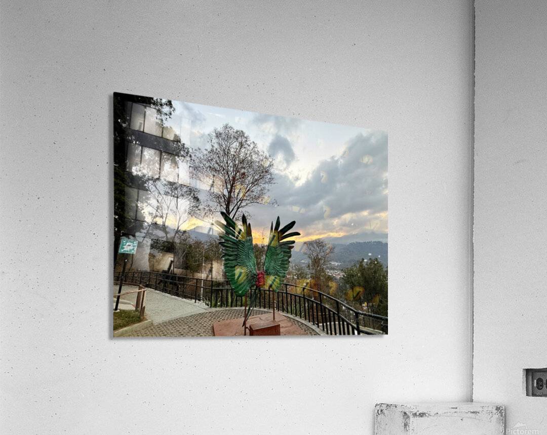 IMG 0467 Acrylic Print