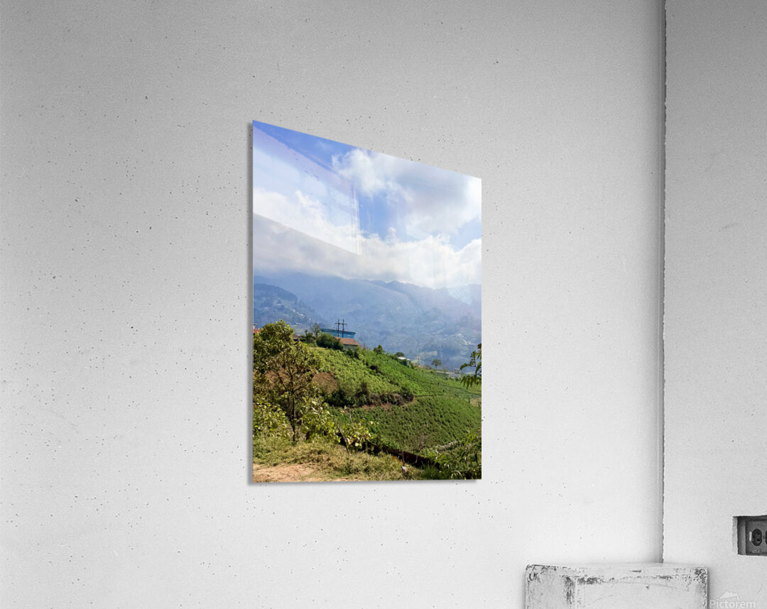 IMG 9267 Acrylic Print