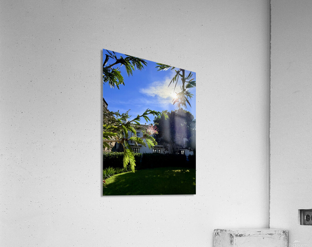 IMG 0025 Acrylic Print