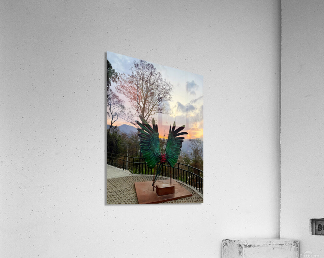 IMG 0496 Acrylic Print