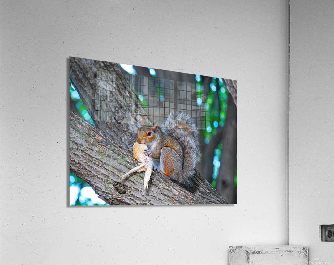 Tastes Like Chicken...Because it IS Acrylic Print