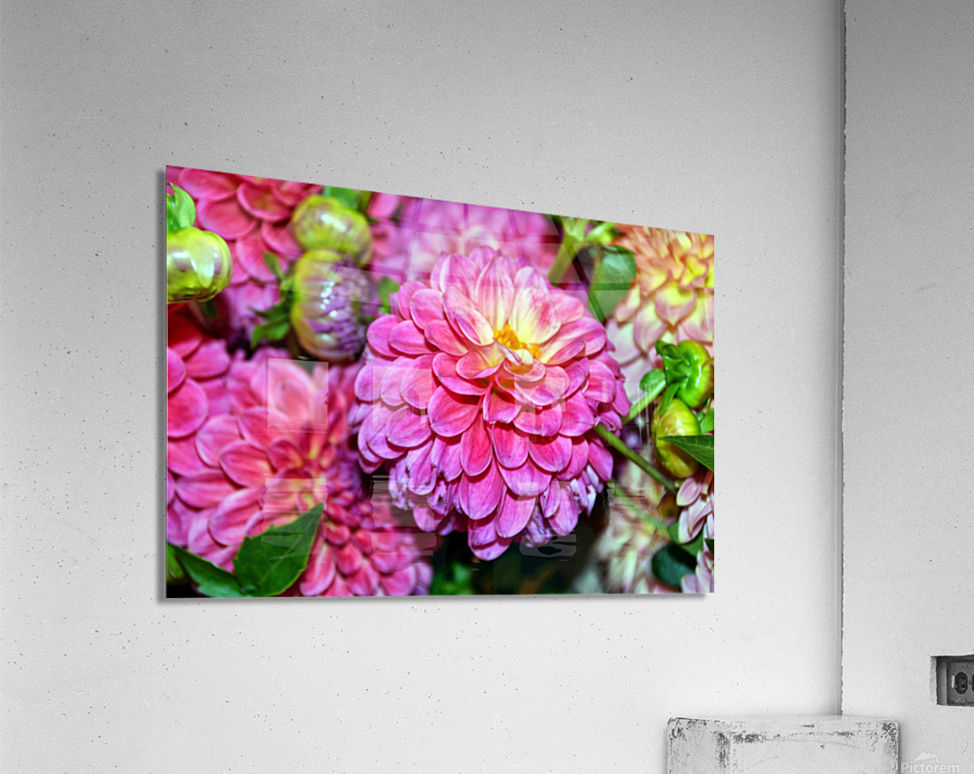 Flower Bloom 1 Acrylic Print