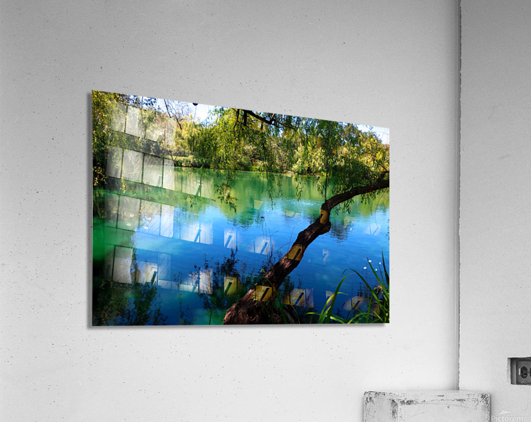 Pond Do 2 Acrylic Print