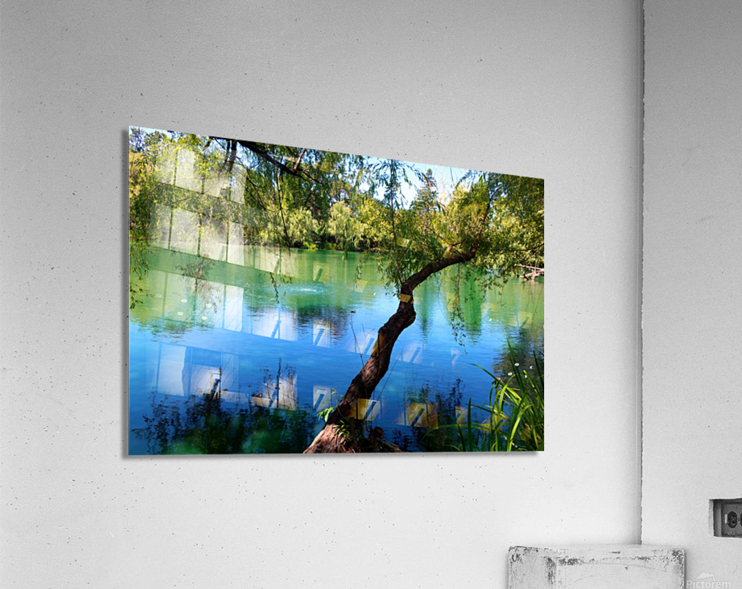 Pond Do  Acrylic Print