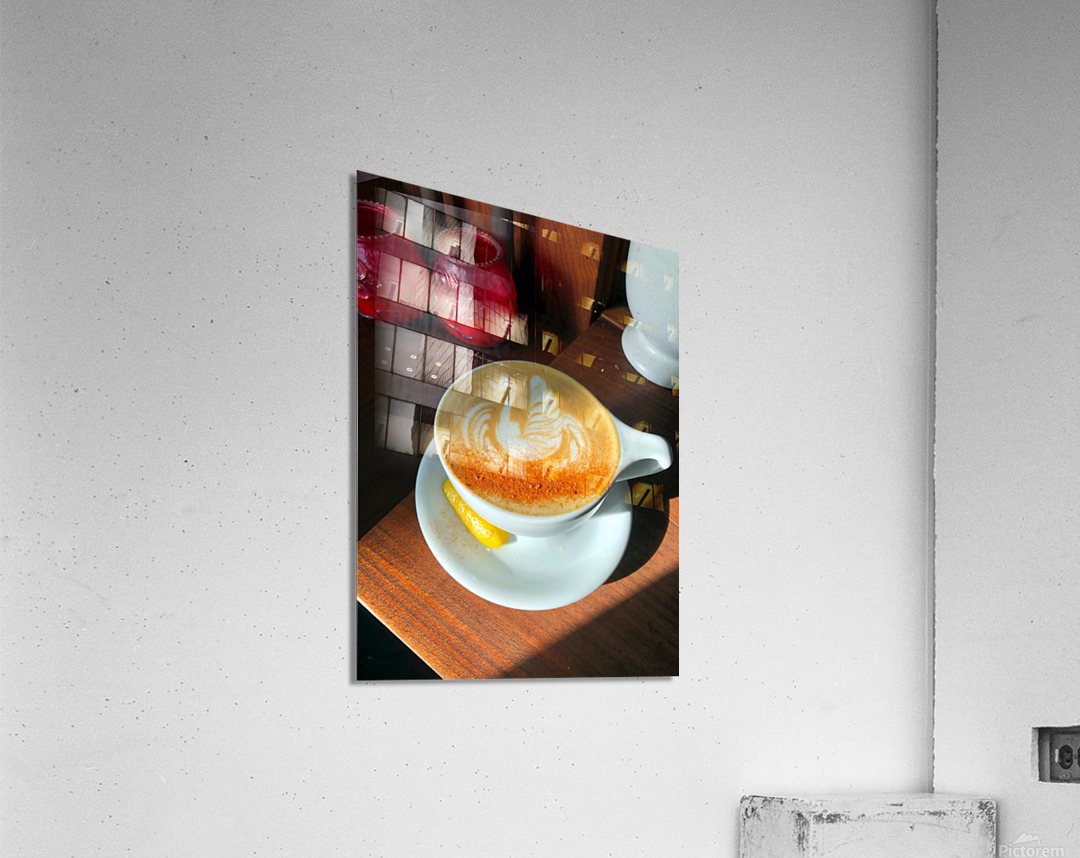 Shadow Swan Take Flight Acrylic Print