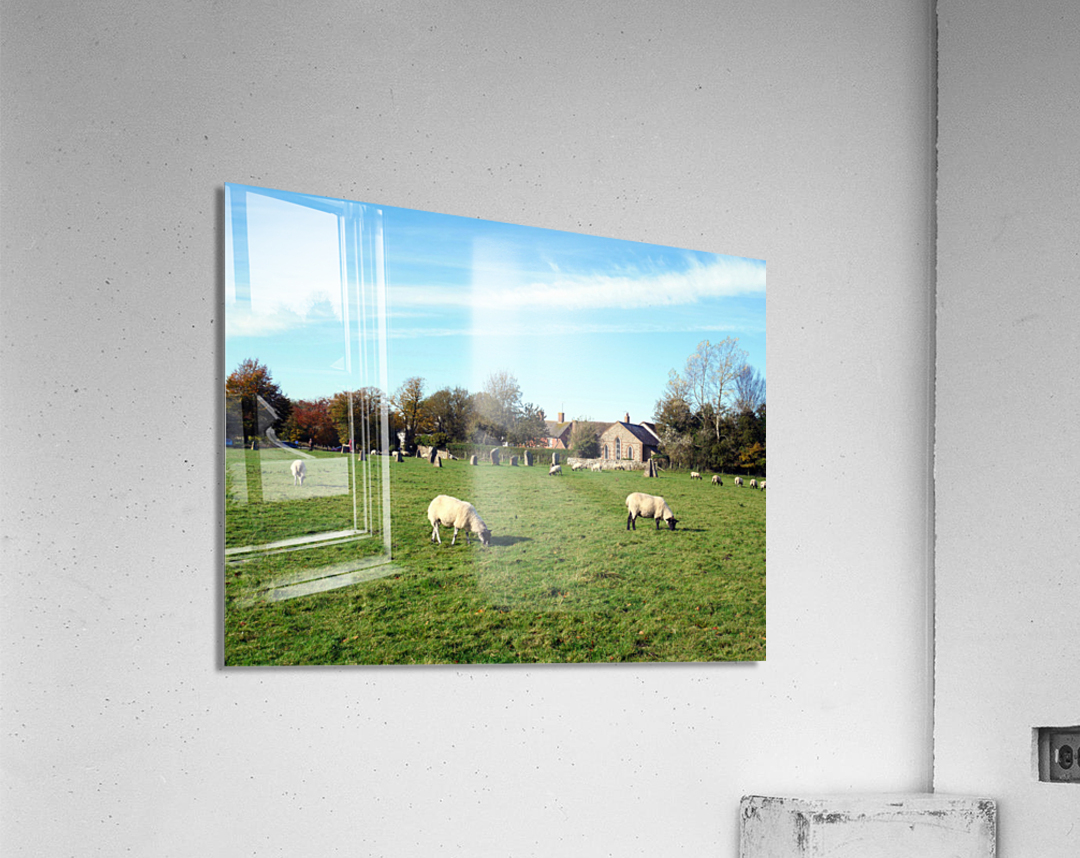 Grazing Fields of Avebury Henge and Stone Circles  Impression acrylique