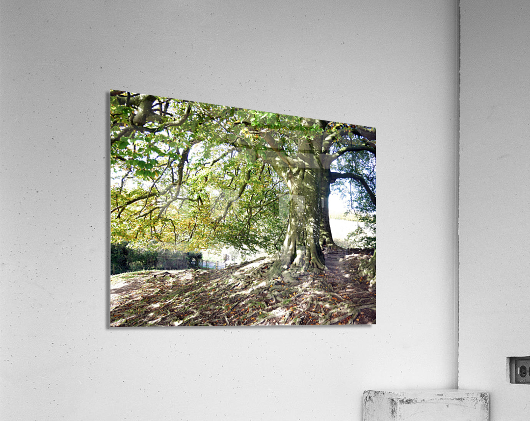 Rooted in Strength Acrylic Print