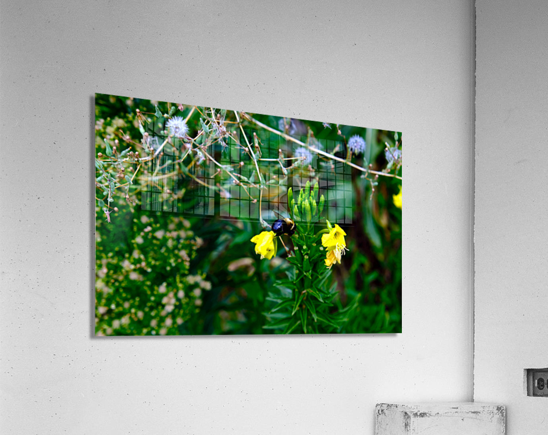 To Bee or Not to Bee  -- Kiss My Shiny Bumble Butt Impression acrylique