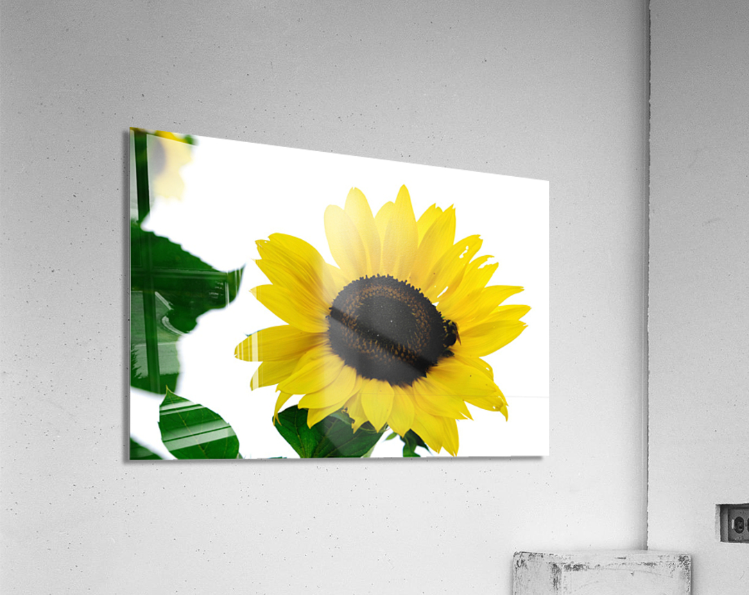 Blooms of Joy 3 Acrylic Print