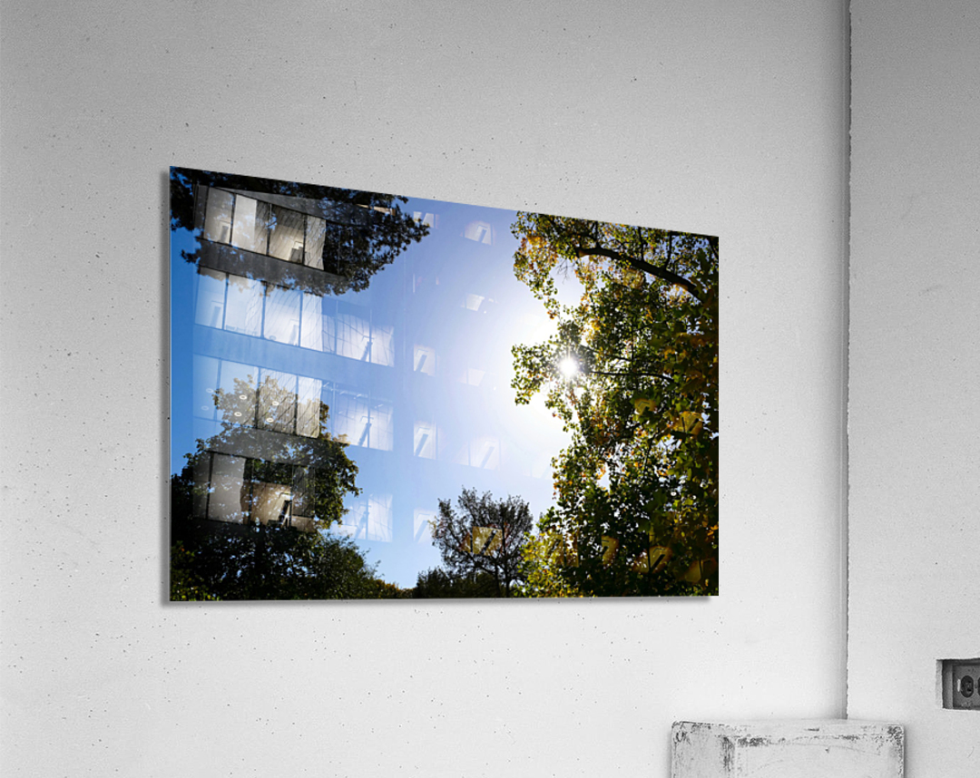 Seeing the Light Acrylic Print