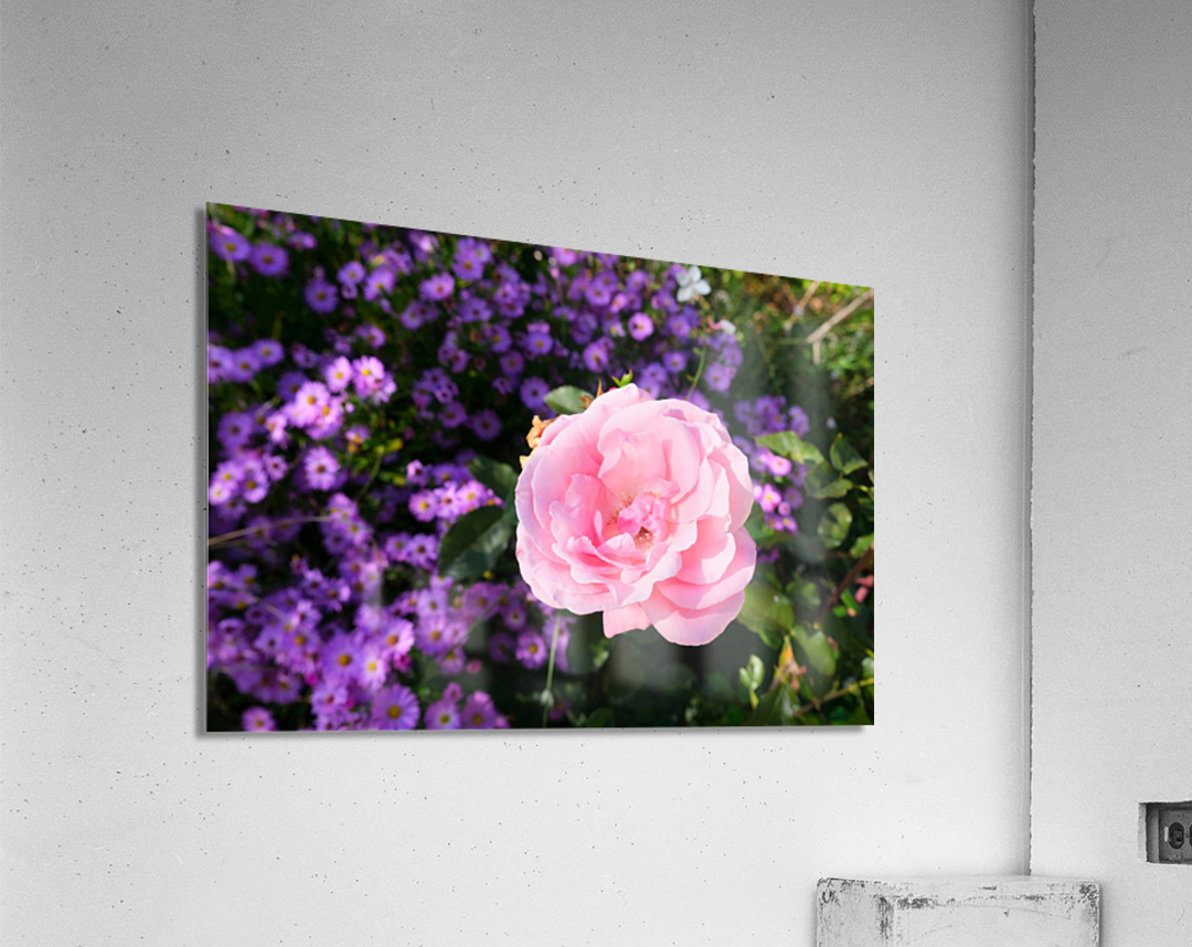 Flower Bloom 6 Impression acrylique