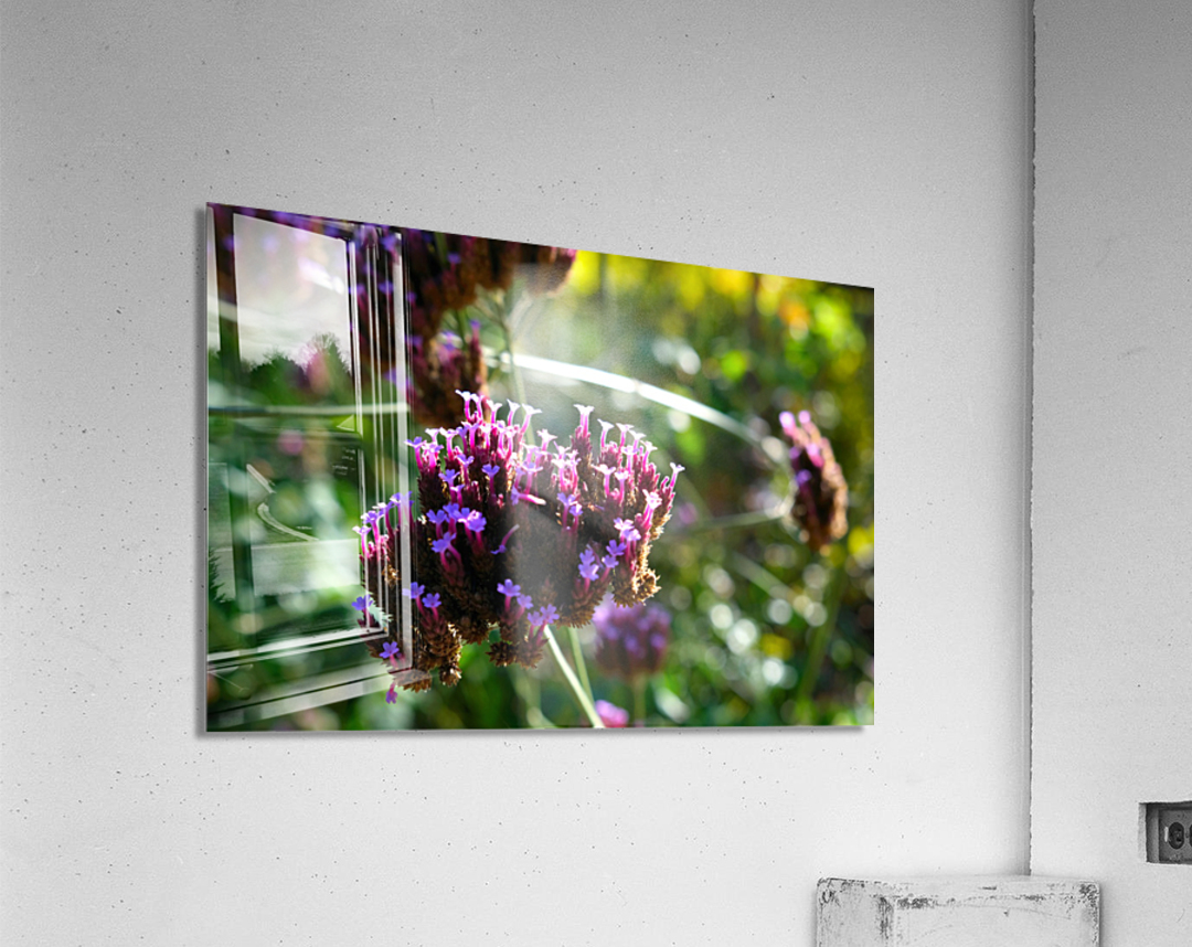 Cluster of Miniature Flowers Acrylic Print