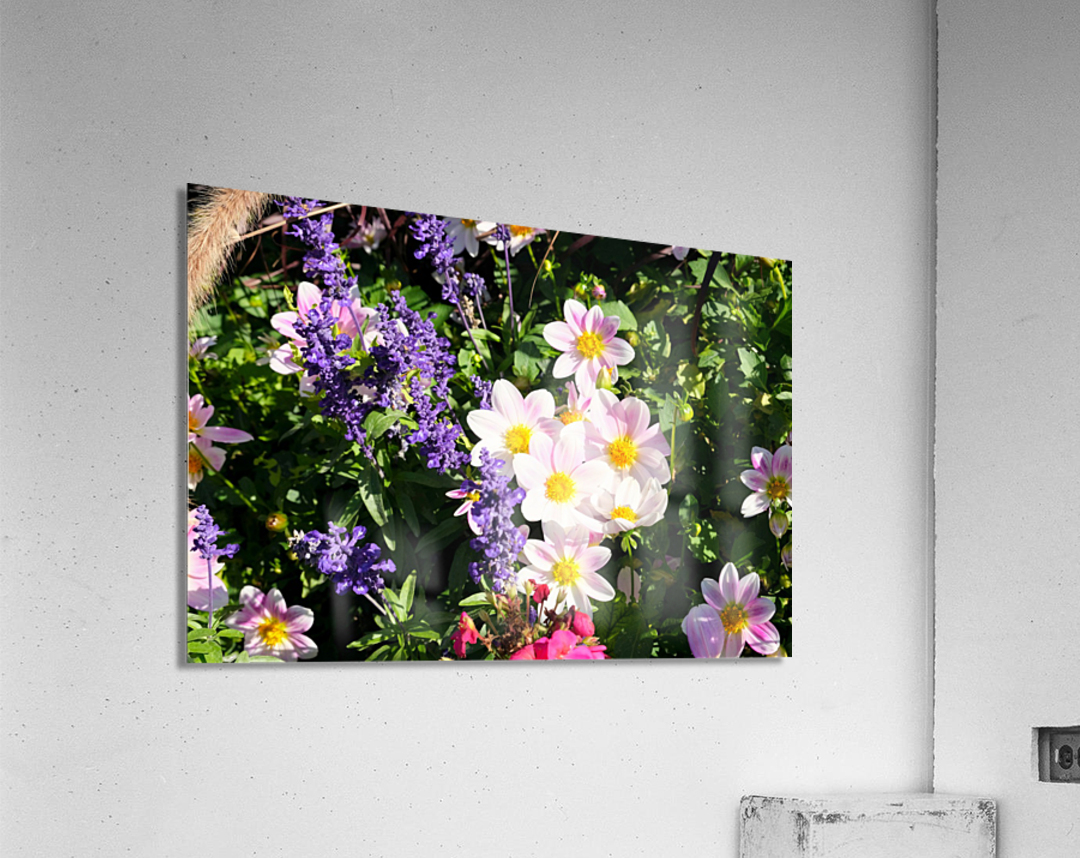 Blushing Petals 2 Acrylic Print