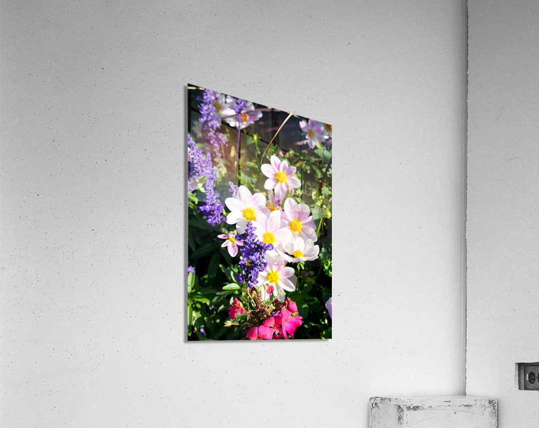 Blushing Petals 2B Acrylic Print