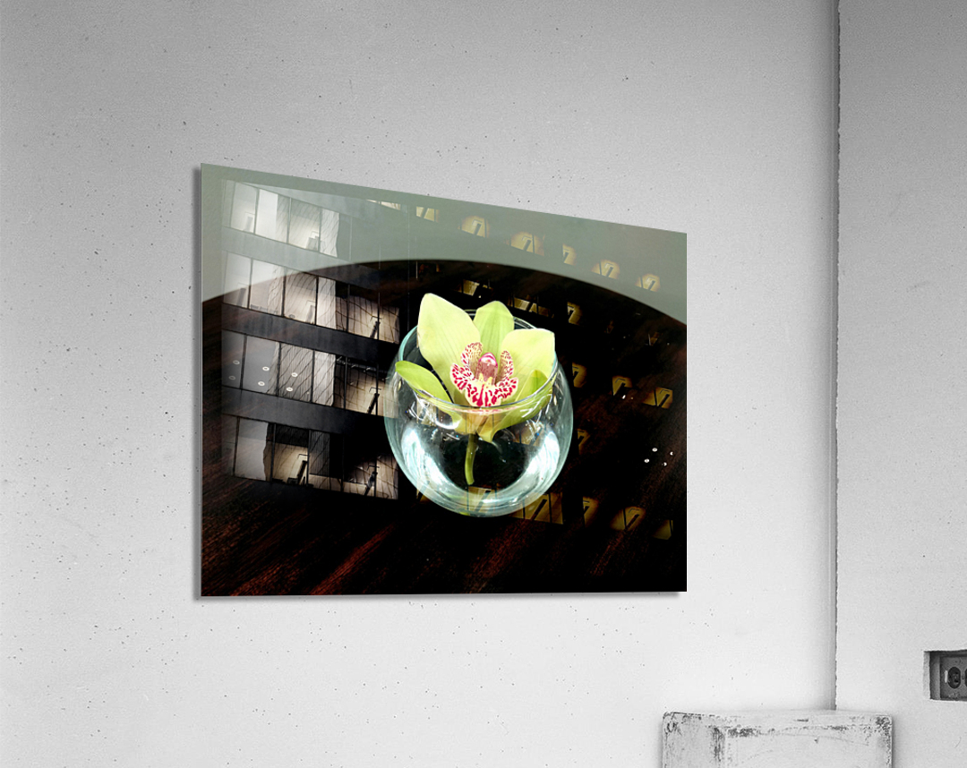 Glass Bloom 2 Acrylic Print
