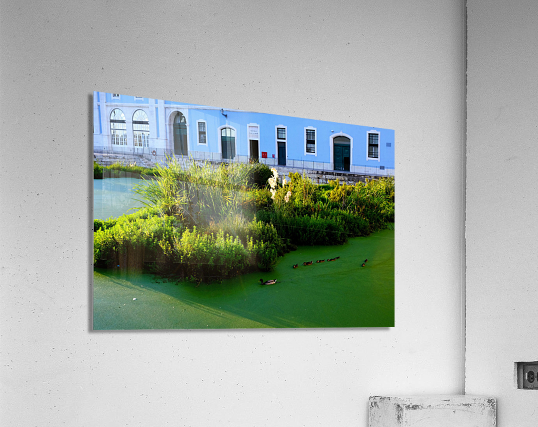 Ducking the Tourists Impression acrylique