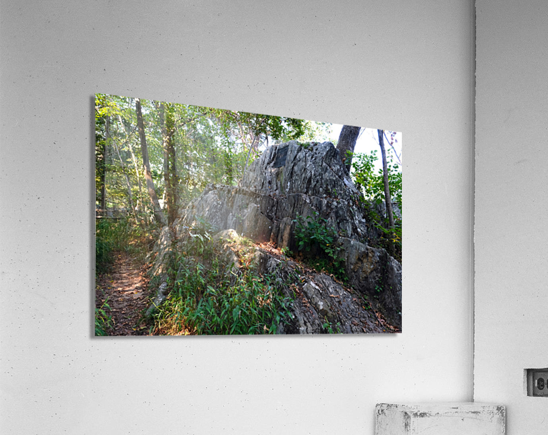 Just Rocking Life  Impression acrylique