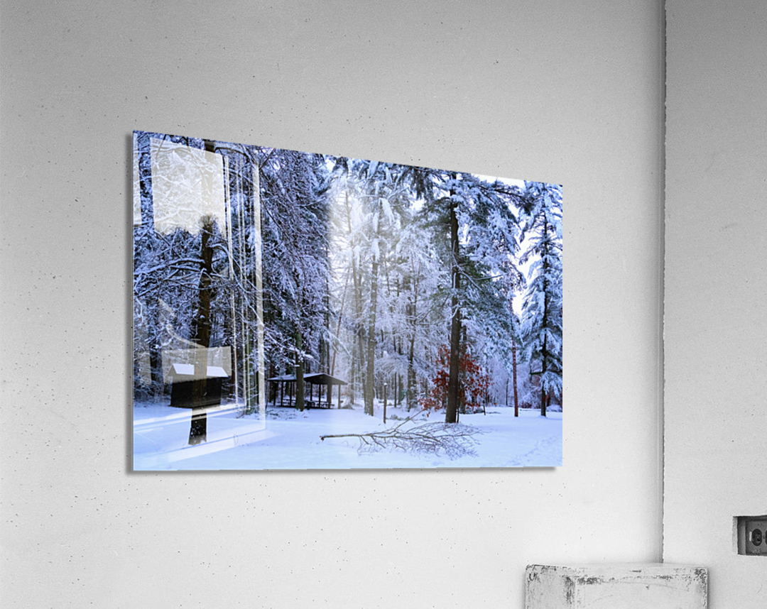 Winter Wonderland 2 Acrylic Print