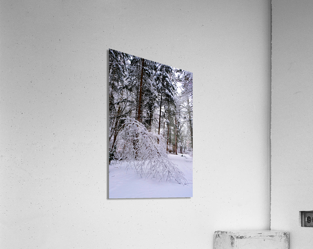 Bowing to Winter 2 Impression acrylique