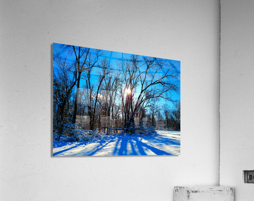 Winter Wonderland 2 Acrylic Print