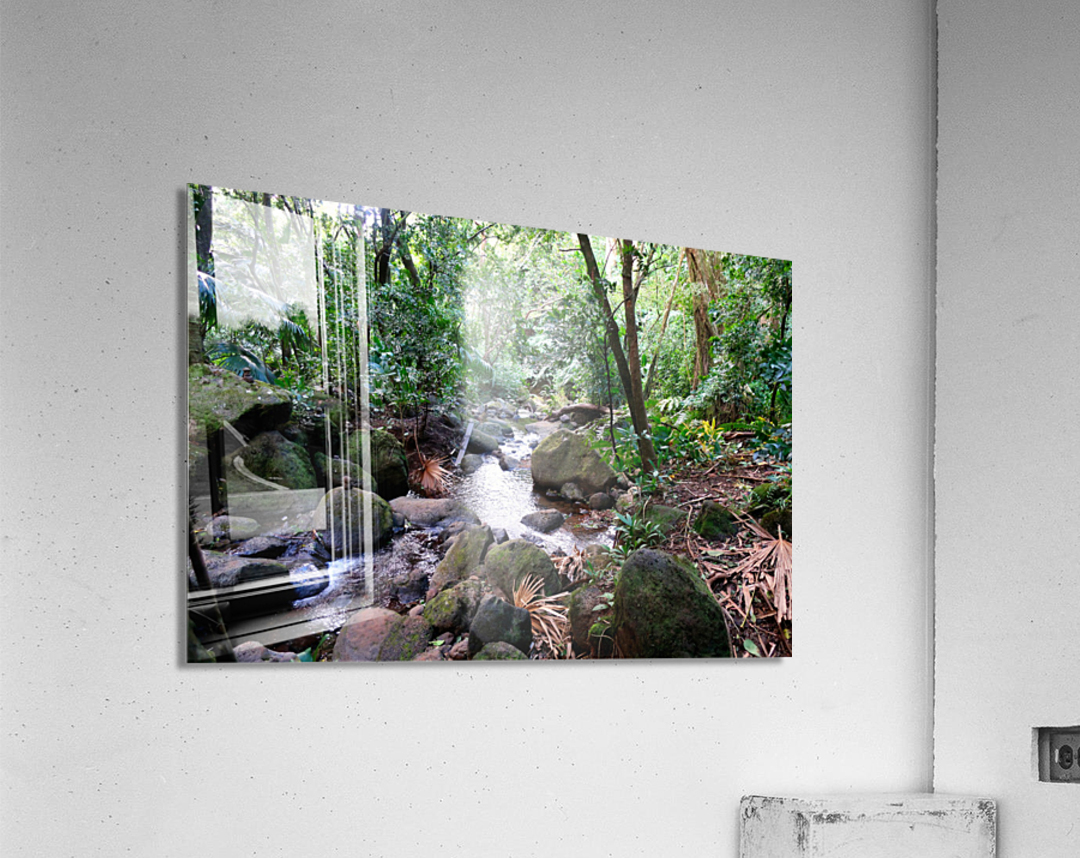 Hiking Hawaii Water Flow B Acrylic Print