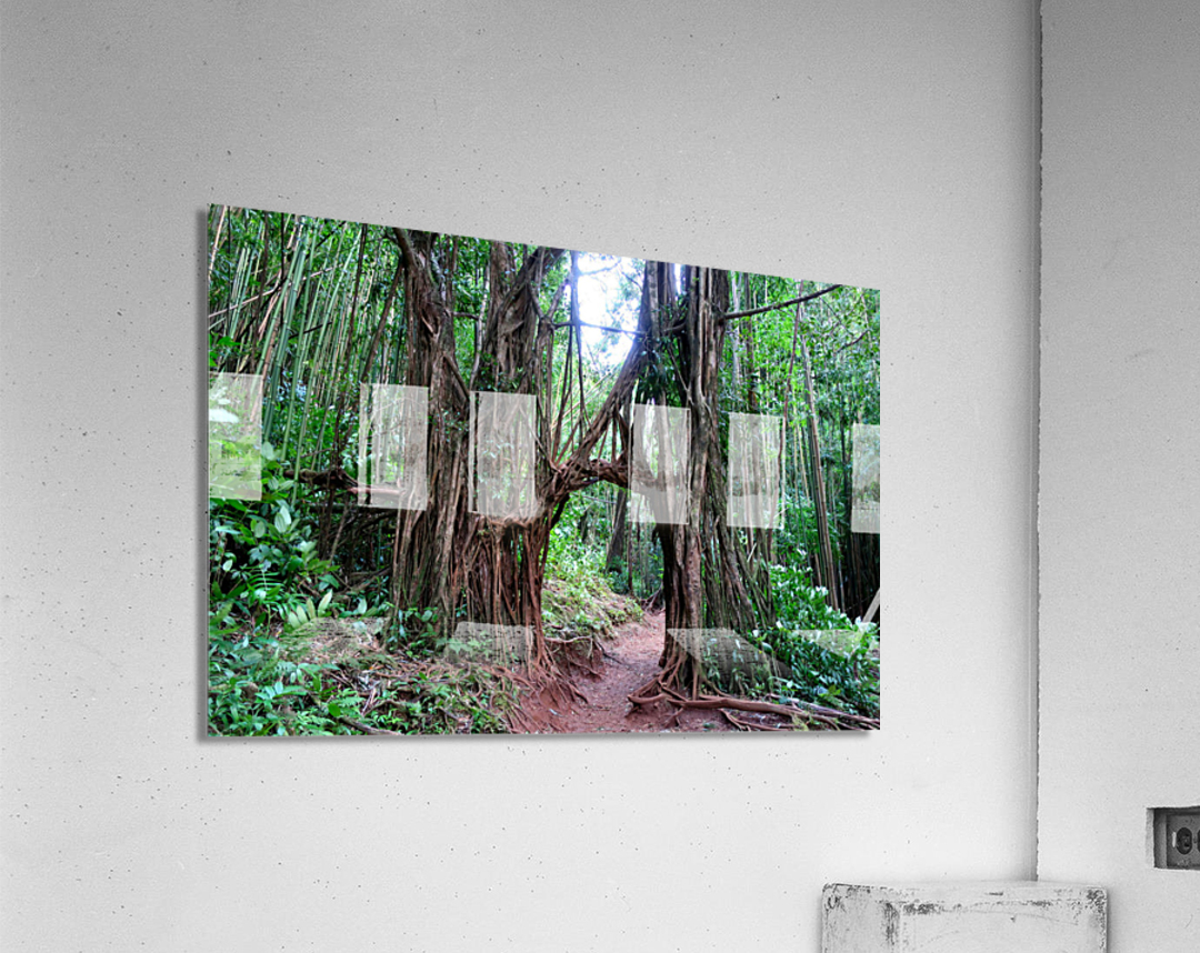 Welcome to the Jungle  Acrylic Print