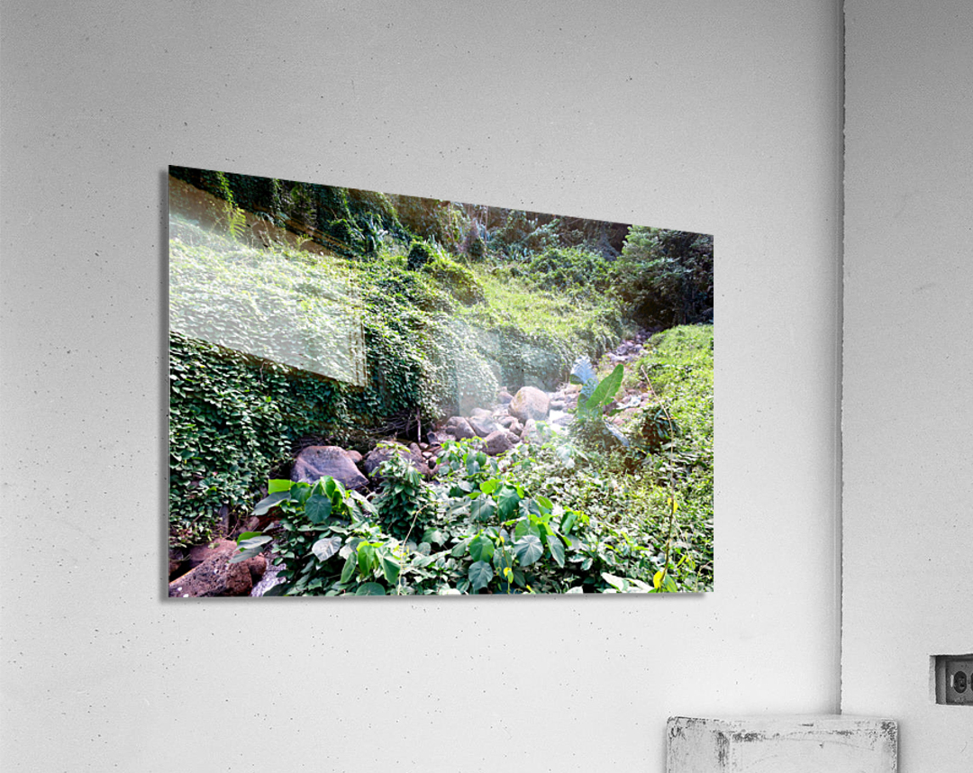 Hiking Hawaii 3 Impression acrylique